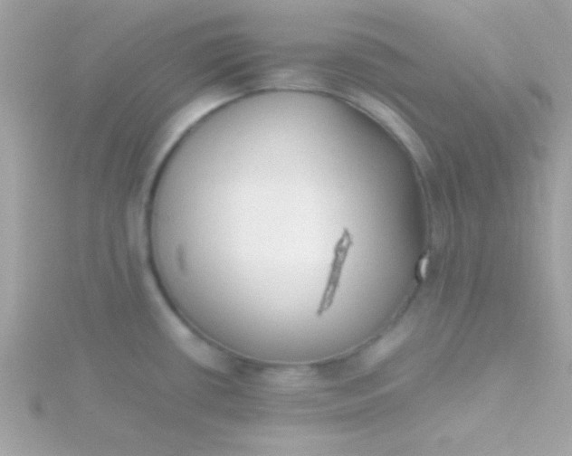 X0000115741434200911251950