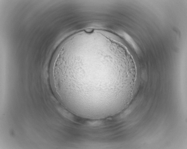 X0000115741435200911251950