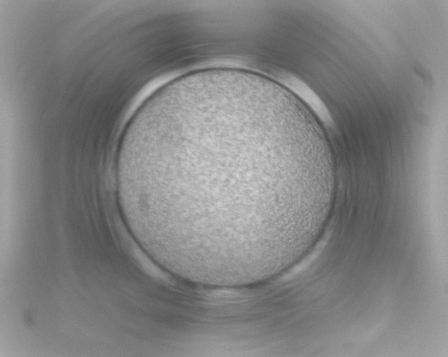 X0000115741436200911251950