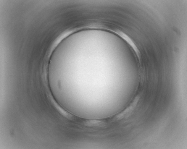 X0000115741437200911251950