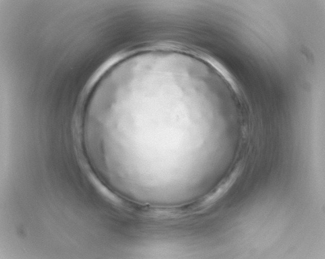 X0000115741438200911251950