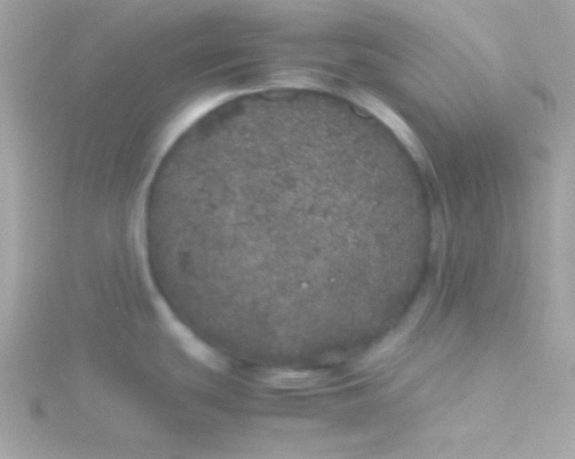 X0000115741439200911251950