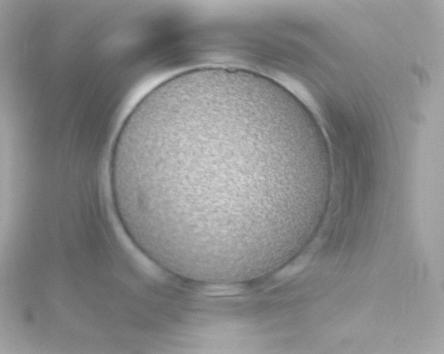 X0000115741440200911251950