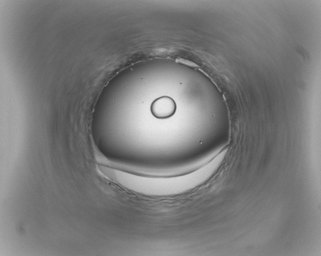 X0000115741441200911251949