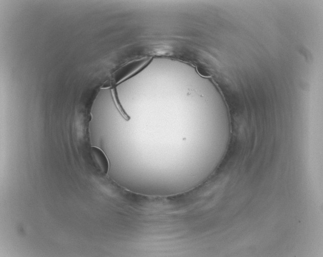 X0000115741442200911251949