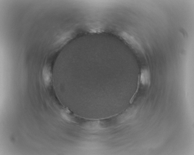 X0000115741444200911251949