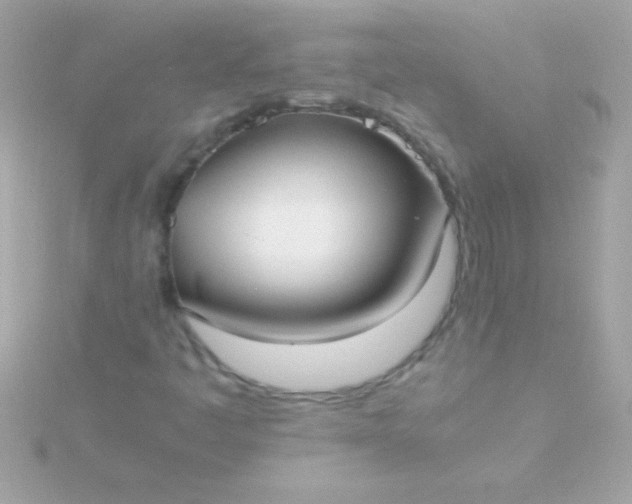 X0000115741445200911251949