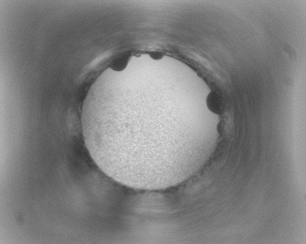 X0000115741446200911251949