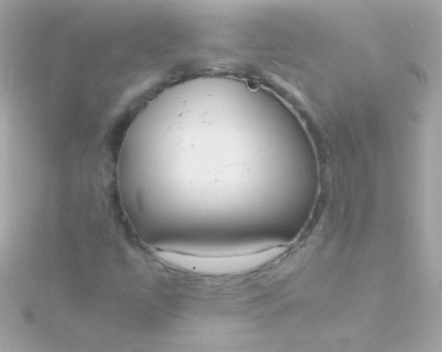 X0000115741447200911251949