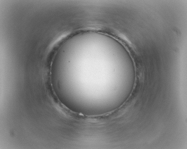 X0000115741448200911251949