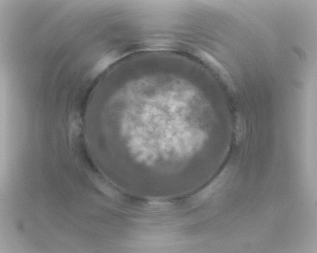 X0000115741449200911251949