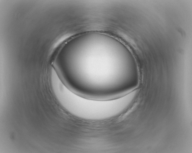 X0000115741453200911251949