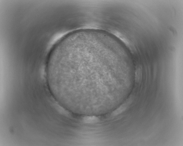 X0000115741454200911251949