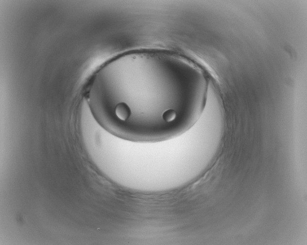 X0000115741455200911251949