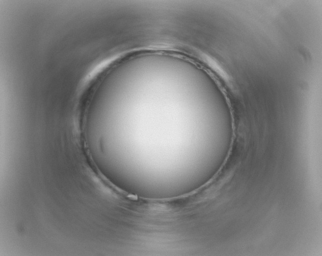 X0000115741456200911251949