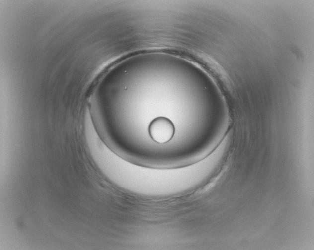 X0000115741457200911251949