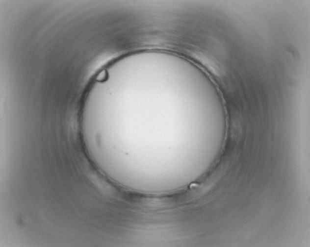 X0000115741458200911251949