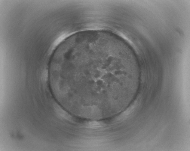 X0000115741459200911251949