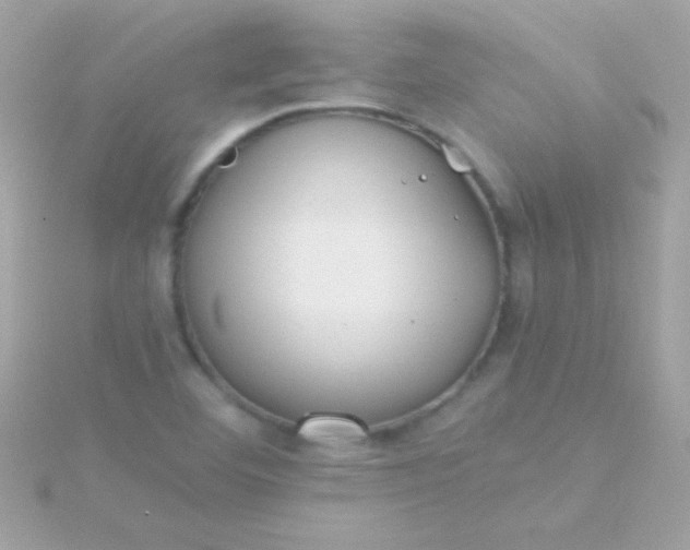 X0000115741460200911251949