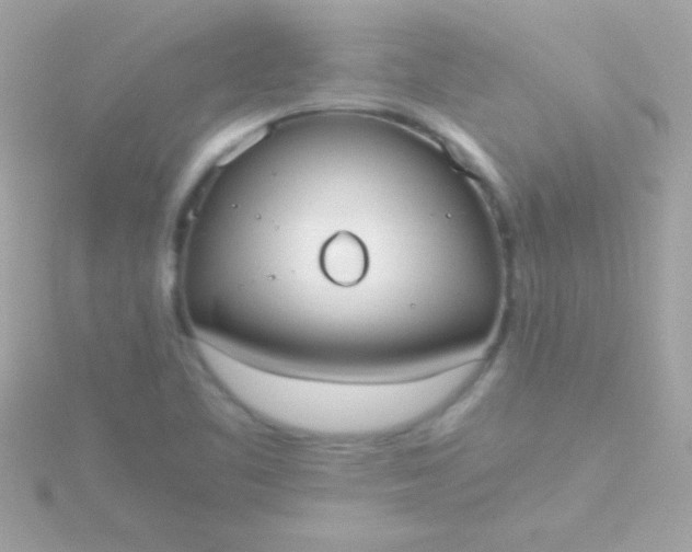 X0000115741461200911251949