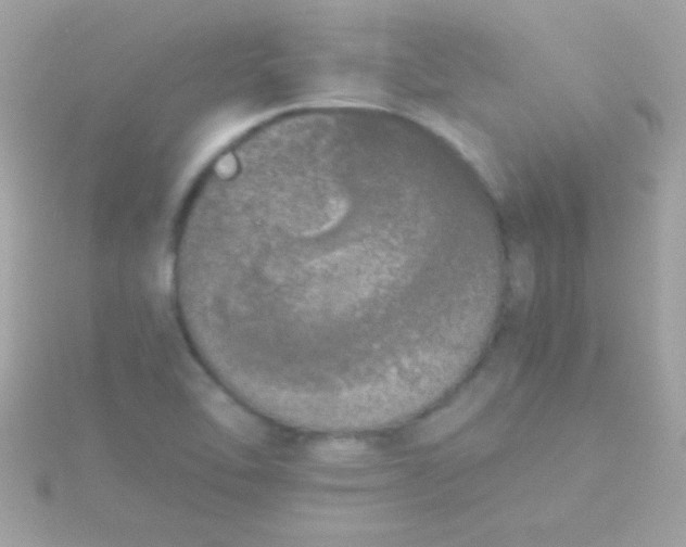 X0000115741462200911251949