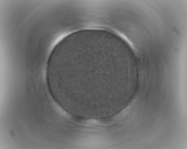 X0000115741463200911251949