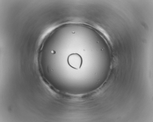 X0000115741464200911251949