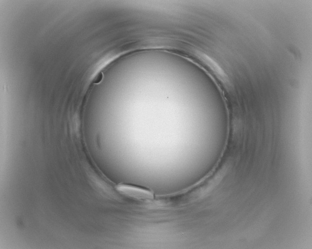 X0000115741465200911251949