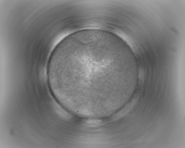 X0000115741466200911251949