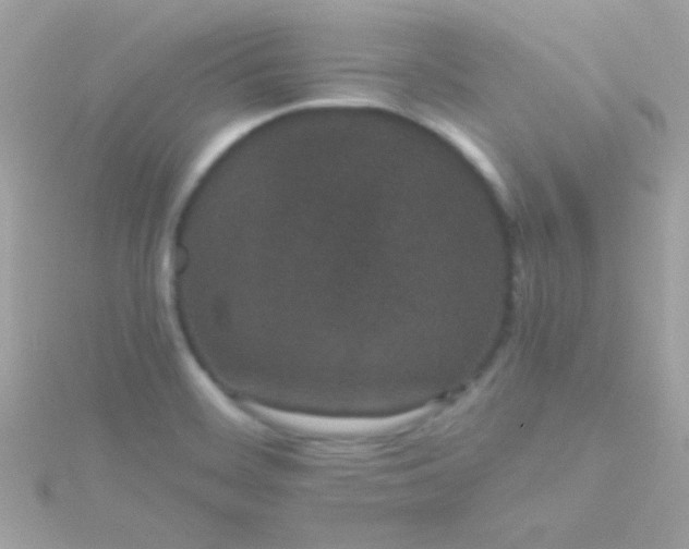 X0000115741468200911251949