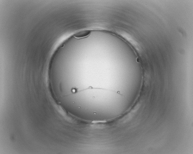 X0000115741469200911251949