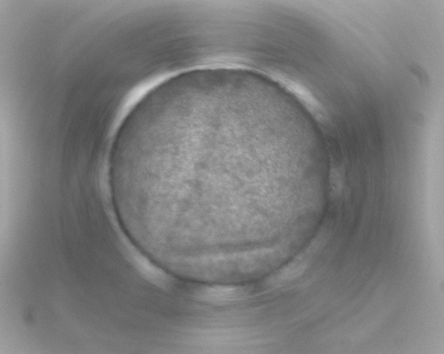 X0000115741470200911251949