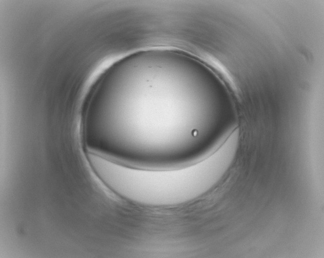 X0000115741472200911251949