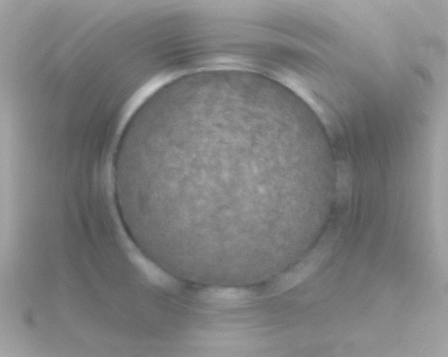 X0000115741474200911251949