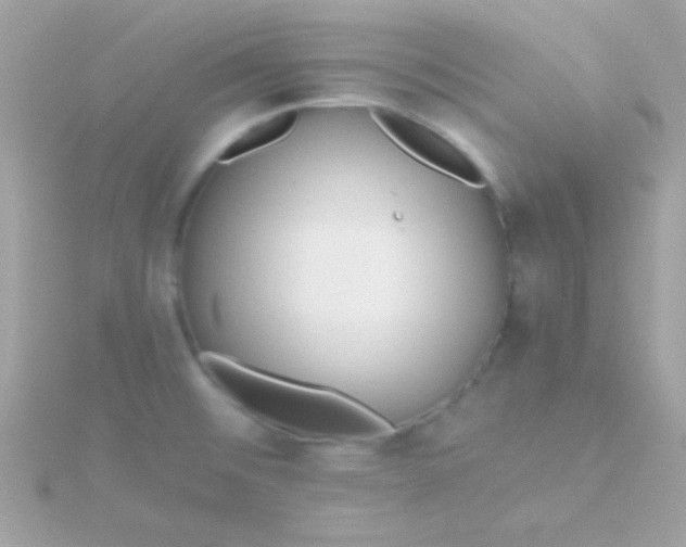 X0000115741476200911251949