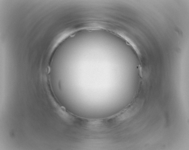 X0000115741477200911251949