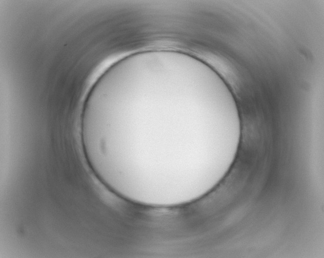 X0000115741478200911251949