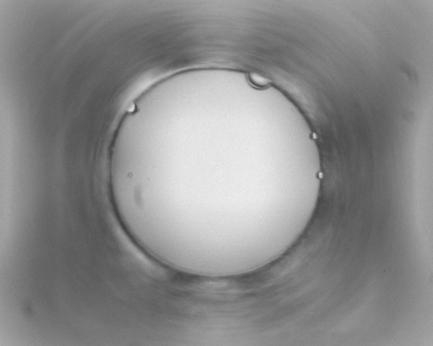 X0000115741479200911251949