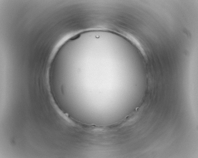 X0000115741480200911251949