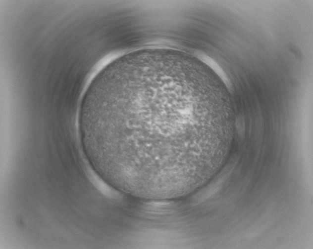 X0000115741482200911251949