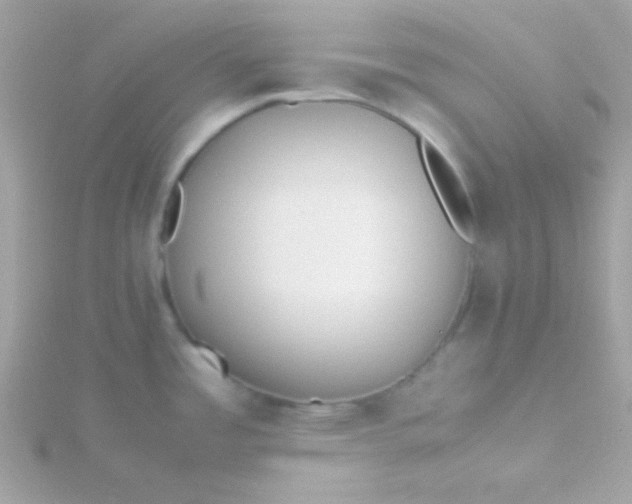 X0000115741485200911251949