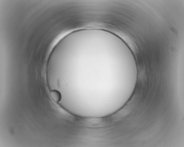 X0000115741486200911251949