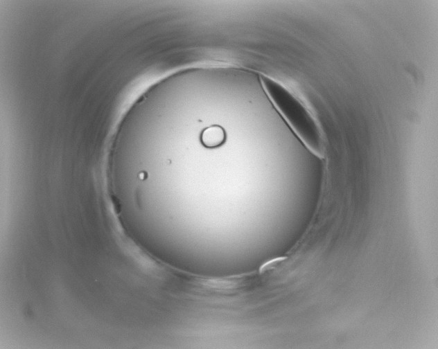 X0000115741488200911251949