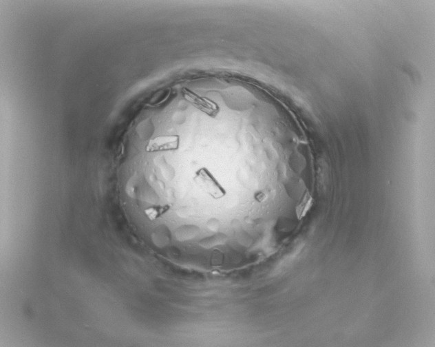 X0000115741494200911251948