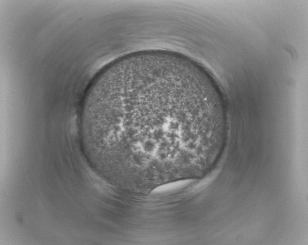 X0000115741497200911251948