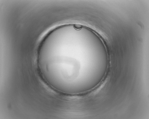 X0000115741502200911251948