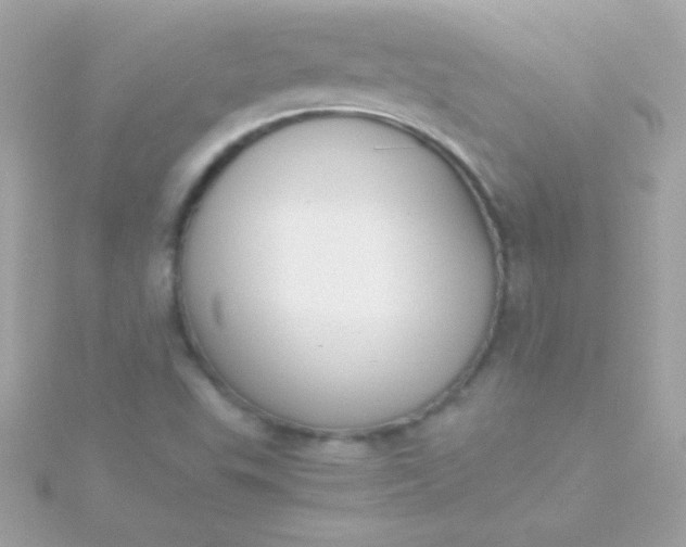 X0000115741503200911251948