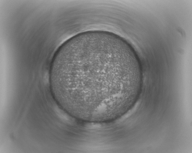 X0000115741505200911251948