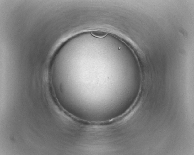 X0000115741506200911251948