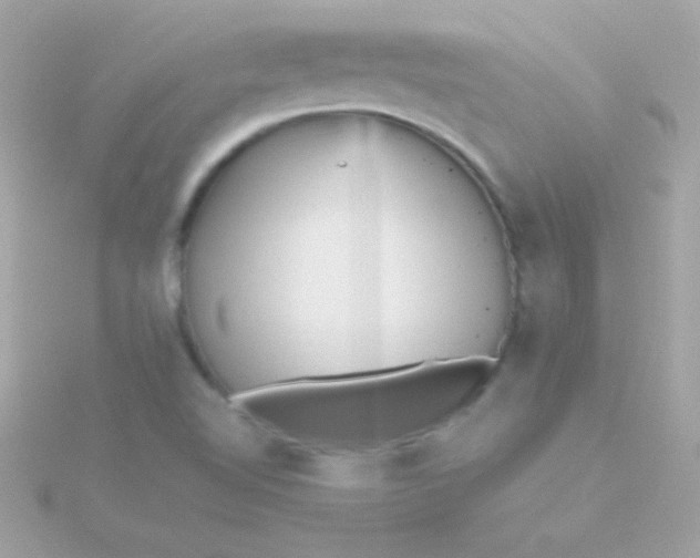 X0000115741510200911251948